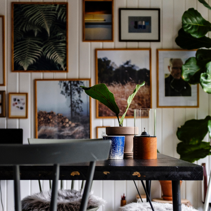 Considering cruelty-free interiors