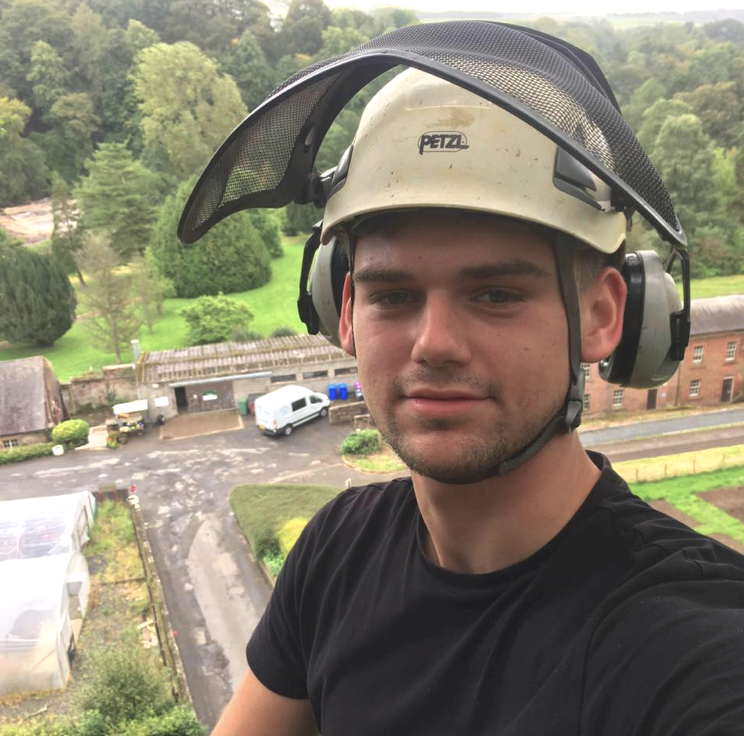 A man wearing a safety helmet taken from a tree